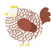 A white and russet chicken with a lace pattern