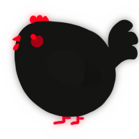 A black chicken
