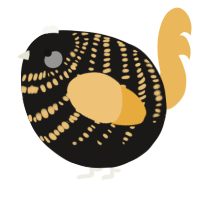 A sable and honey chicken with a bar pattern