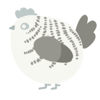 A white and ash chicken with a half-bar pattern