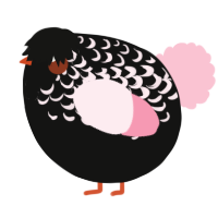 A black and rose chicken with a half-lace pattern