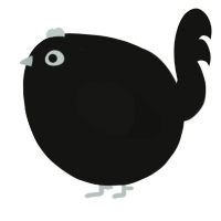 A black chicken