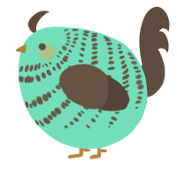 A mint and bark chicken with a bar pattern