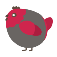 A grey and crimson chicken with a head pattern