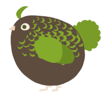 A bark and chartreuse chicken with a half-lace pattern