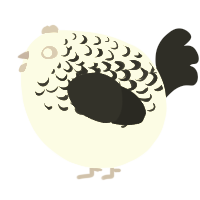 A mist and sable chicken with a half-lace pattern