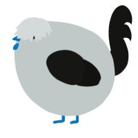 A silver and black chicken
