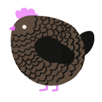 A bark and black chicken with a lace pattern