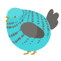 A aqua and grey chicken with a bar pattern