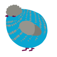 A cerulean and ash chicken with a bar pattern