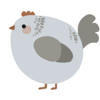 A mist and ash chicken with a neck-band pattern