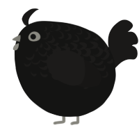 A black and sable chicken with a half-lace pattern