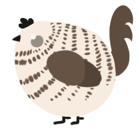 A cream and bark chicken with a bar pattern