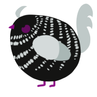 A black and silver chicken with a bar pattern