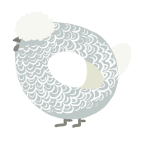 A silver and white chicken with a double-lace pattern