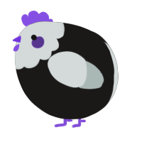 A sable and silver chicken with a head pattern