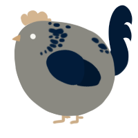 A ash and tumblr chicken with a neck-speckle pattern