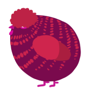 A wine and crimson chicken with a bar pattern