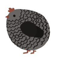 A grey and sable chicken with a lace pattern
