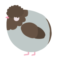 A silver and bark chicken with a head pattern