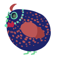 A navy and red chicken with a speckle pattern