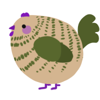 A beige and olive chicken with a bar pattern