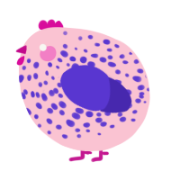 A rose and indigo chicken with a speckle pattern