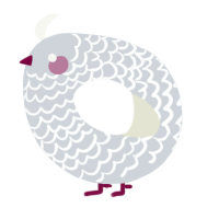 A mist and white chicken with a lace pattern