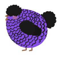 A blurple and sable chicken with a lace pattern