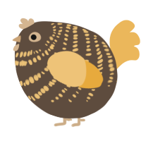 A bark and honey chicken with a bar pattern