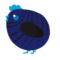 A navy and sable chicken with a bar pattern