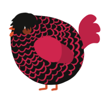 A black and crimson chicken with a lace pattern