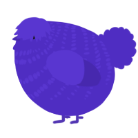 A indigo chicken with a bar pattern