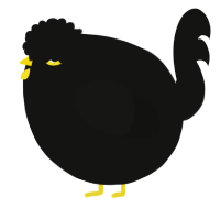 A black chicken