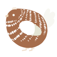 A brown and white chicken with a bar pattern