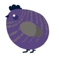 A overcast and grey chicken with a bar pattern