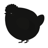 A black chicken