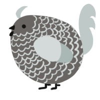 A grey and silver chicken with a lace pattern