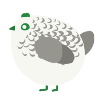 A white and ash chicken with a half-lace pattern