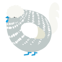 A silver and white chicken with a bar pattern