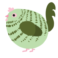A gluppy and olive chicken with a bar pattern