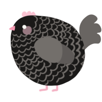 A sable and grey chicken with a lace pattern