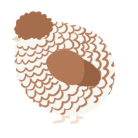 A white and brown chicken with a lace pattern