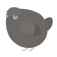 A grey chicken with a lace pattern