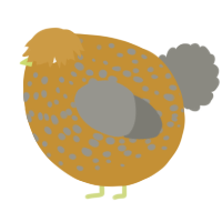 A gold and ash chicken with a speckle pattern