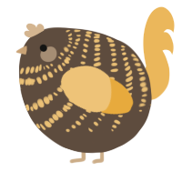 A bark and honey chicken with a bar pattern