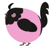 A pink and sable chicken with a head pattern