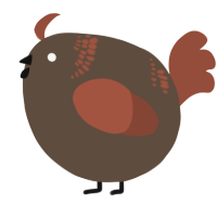A bark and russet chicken with a neck-band pattern