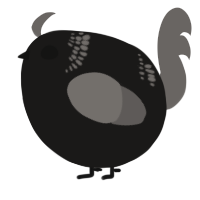 A sable and grey chicken with a neck-band pattern
