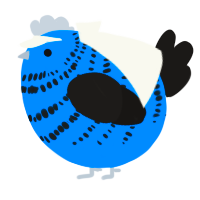 A sapphire and sable chicken with a bar pattern